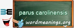 WordMeaning blackboard for parus carolinensis